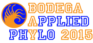 Bodega_Logo